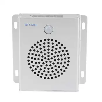 Doorbell аларма гласово време функция глас провлак Wifi модул с железни листове за станция